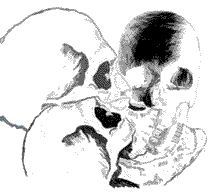 Skull Row: Illustration by Sigurd Towrie