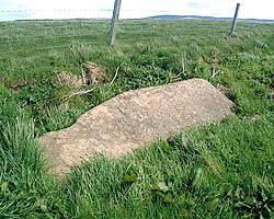 Prone Megalith