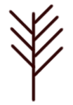 Brodgar Twig rune